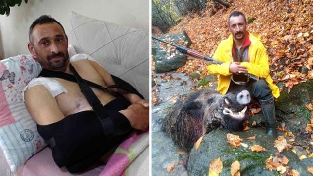 Domuz saldırısından yaralı kurtulan avcı: Siz bir de domuzun halini görün