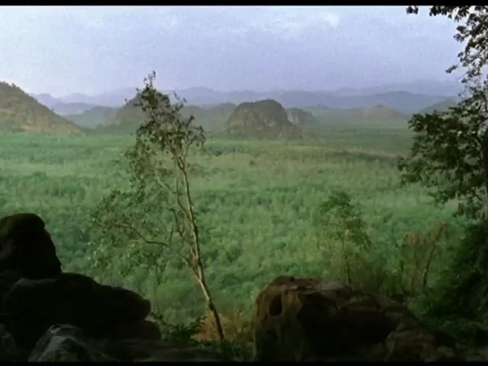 “Uncle Boonmee who can recall his past liv” d’Apichatpong Weerasathakul