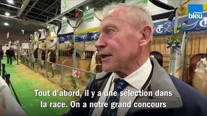 Les chevaux comtois au Salon de l'agriculture