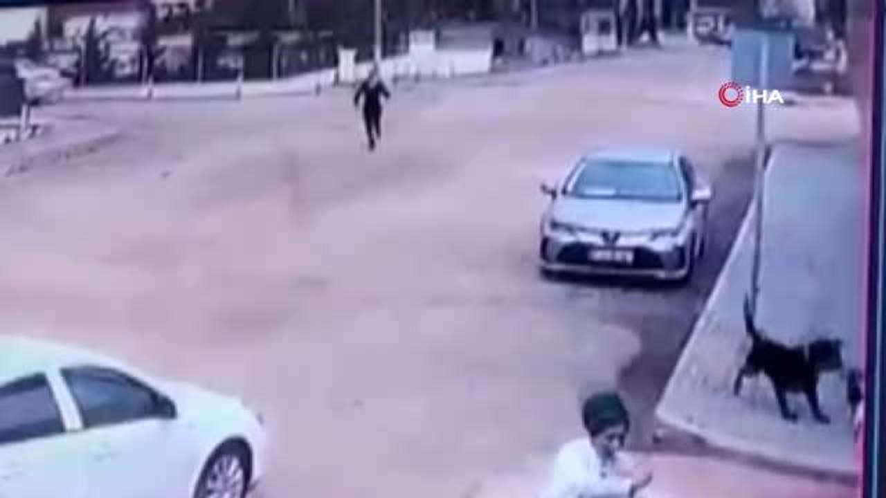 Gaziantep�te pitbulldan sonra rottweiler dehşeti