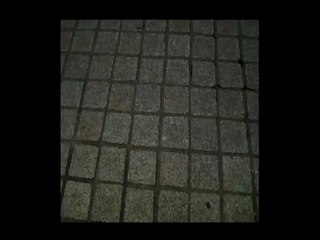 Fonelle à l'entrée du défilé Balmain