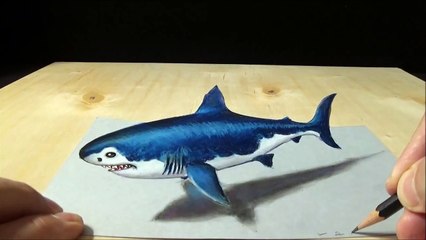 Drawing 3D Shark - How to Draw 3D Megalodon Shark - Awesome Trick Art