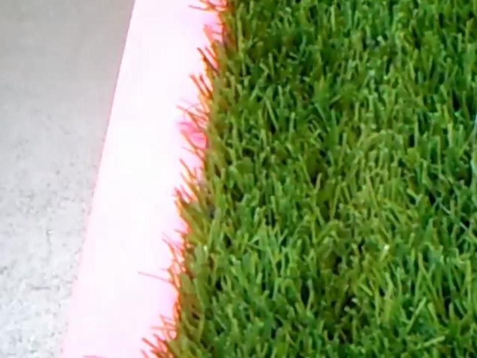 Fonelle TV : La ferme fashion chez Merci