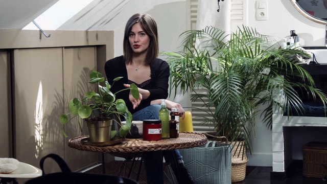 Hydrater ou nourrir ses cheveux ?