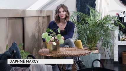 DIY : un soin naturel pour stopper la chute de cheveux