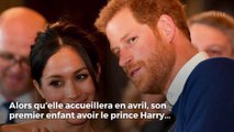 Meghan Markle enceinte de jumeaux : pourquoi c’est possible