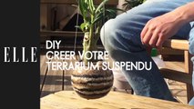 DIY : Créer un terrarium suspendu