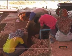 Rangka manusia di Guar Kepah bukti wujud manusia zaman Neolitik