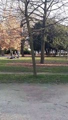 Parc Paul Mistral Grenoble 2022 #France