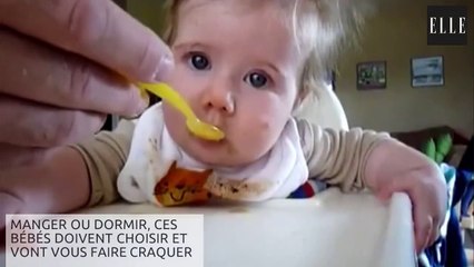 Manger ou dormir, ces bébés vont vous faire craquer