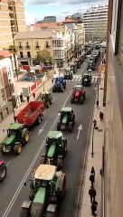 Tractorada en Zamora