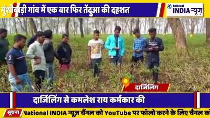 बंगाल के दार्जिलिंग में रिहायशी इलाकों में तेंदुए की दहशत से ग्रामीणों में डर बच्चों परेशान