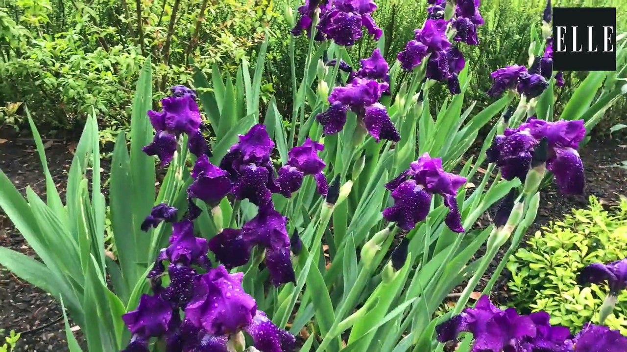 A la découverte des Fontaines parfumées de Louis Vuitton à Grasse en vidéo