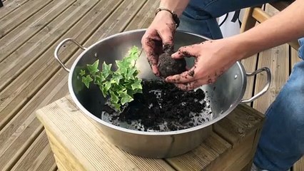 DIY : Créez votre propre kokedama