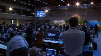 ONU decide criar tratado mundial contra a poluição plástica