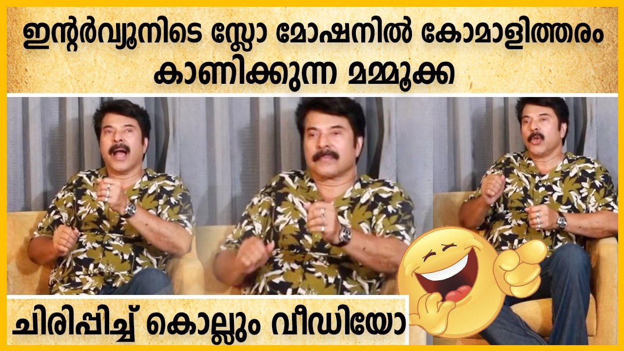 സ്ലോമോഷൻ ആണോ പടം എന്ന് ചോദിച്ചപ്പോൾ സ്ലോമോഷനിൽ കോക്രി കാണിച്ചു മമ്മൂക്ക | Filmibeat Malayalam
