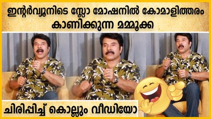 സ്ലോമോഷൻ ആണോ പടം എന്ന് ചോദിച്ചപ്പോൾ സ്ലോമോഷനിൽ കോക്രി കാണിച്ചു മമ്മൂക്ക | Oneindia Malayalam