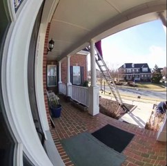 Une femme a mal sécurisé son échelle pour travailler sur l'entrée de sa maison !