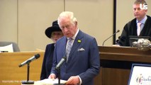 Prince Harry & Prince Charles Speak On Ukraine - Russia & Queen Health Update | Royally Us