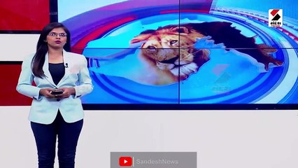 બડેટ સત્રના પ્રથમ દિવસે જ કોંગ્રેસે વિરોધ પ્રદર્શન કરી પોતાના મનસૂબા વ્યક્ત કર્યા