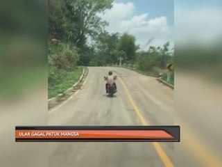 Buletin AWANI Top 5 (7:45PM)