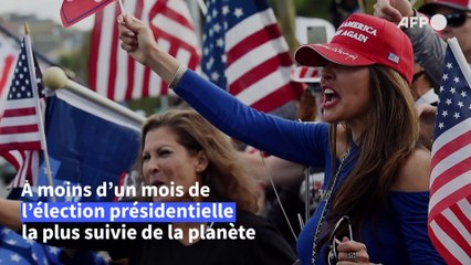Election presidentielle américaine 2020 : les grands enjeux
