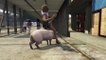 GTA 5 : un mod cochon vous permet de vous balader dans Los Santos dans la peau d'animaux !