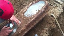 They found this coffin under a house... What they found inside made their blood run cold