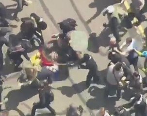 Donald Trump  supporters, opponents clash in California park