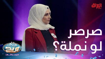 حشرات نعرفها ببيئتنا.. أي حشرة