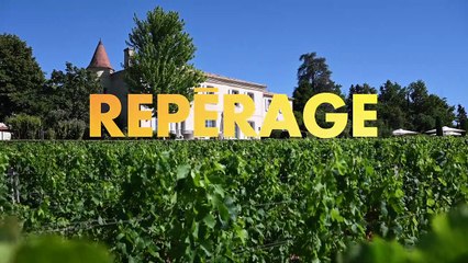 TEASER Le château Troplong Mondot, un domaine viticole d’exception