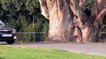 Skoda Fabia Combi 2010