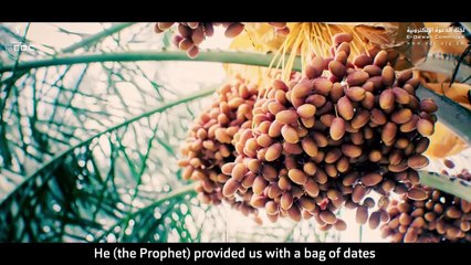 ⁨ 300 صحابي مقابل حوت  من أجمل القصص _ الشيخ علي القرني ⁩