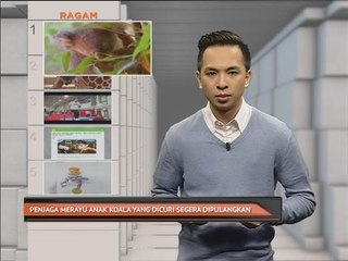 Buletin AWANI Top 5 (1:00PM)