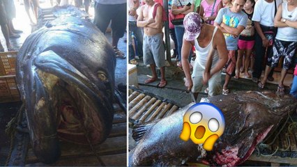 He caught an enormous fish but what he discovered inside made his jaw drop