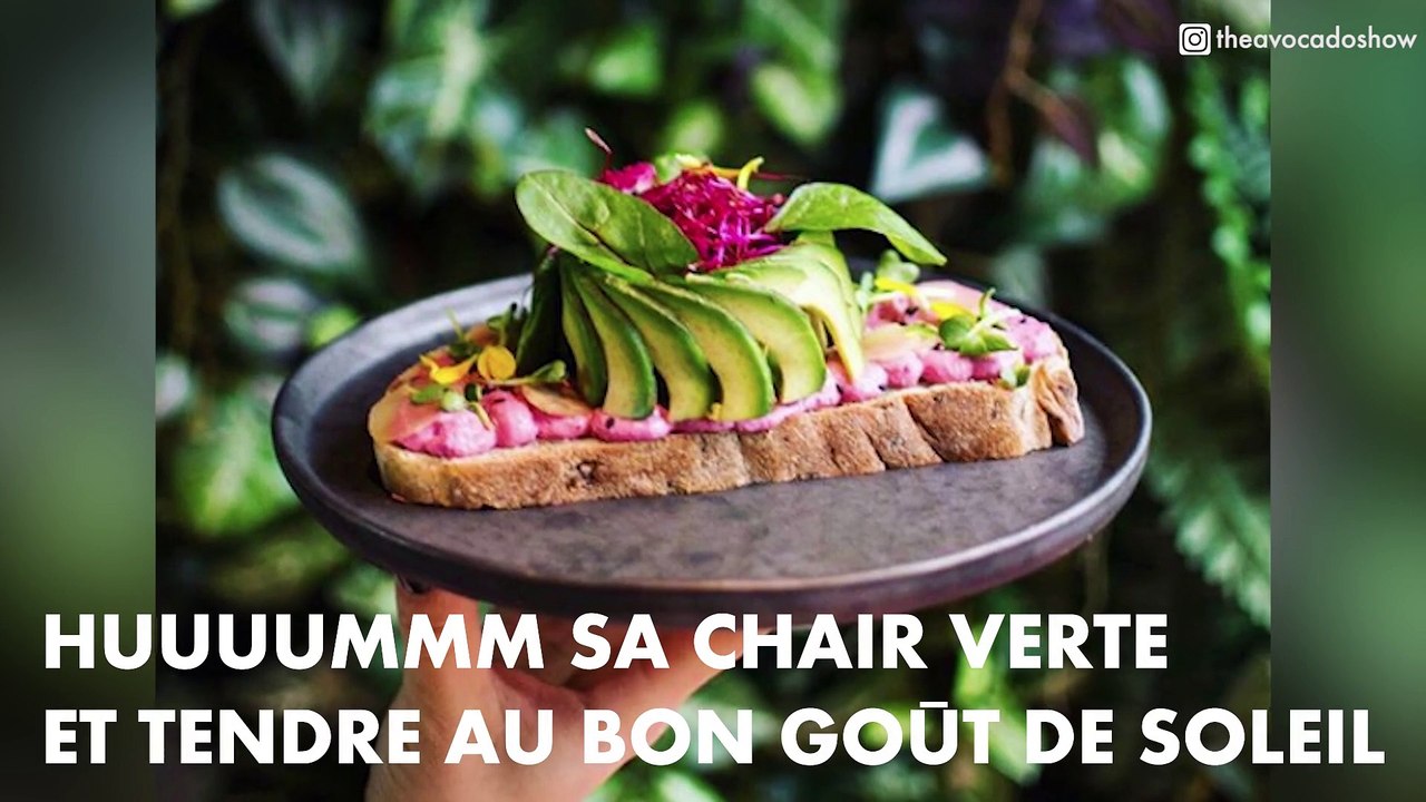 #YUMMY : L'avocat