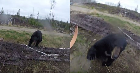 A Hunter Became the Hunted After Being Attacked by a Bear, and It Was All Caught on Camera