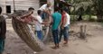 Indonesian villagers fought off this massive python that stumbled into their home