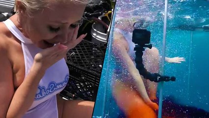 This Adult Film Star Was Attacked By A Shark In The Middle Of A Shoot