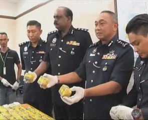 Rampasan pil kuda bernilai RM3.6 juta, dua lelaki ditahan