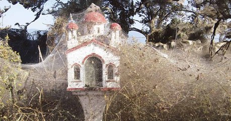 A Lake In Greece Has Been Entirely Covered By A GIANT Spider's Web