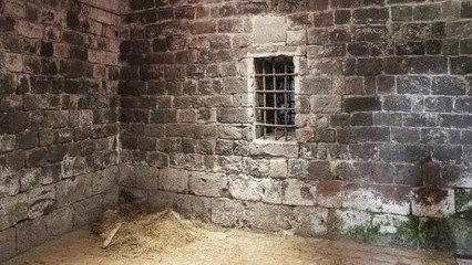 This Man Made a Shocking Discovery in His Basement