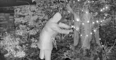 Old Lady Was Caught On Camera Cutting Down Her Neighbour's Christmas Lights