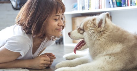 58-year-old woman dies just a few days after being 'nibbled' by her puppy