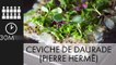 Ceviche de daurade (Pierre Hermé)