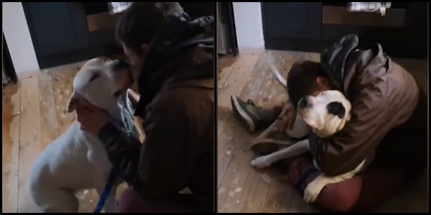 The Heartfelt Moment A Homeless Man Breaks Down In Tears After Reunion ...