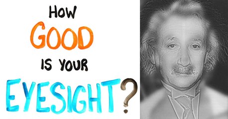 Albert Einstein or Marilyn Monroe? This Optical Illusion Will Put Your Sight to the Test