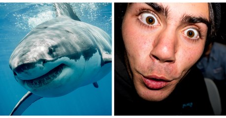 This Aussie fisherman sparked outrage after defiling a shark on video