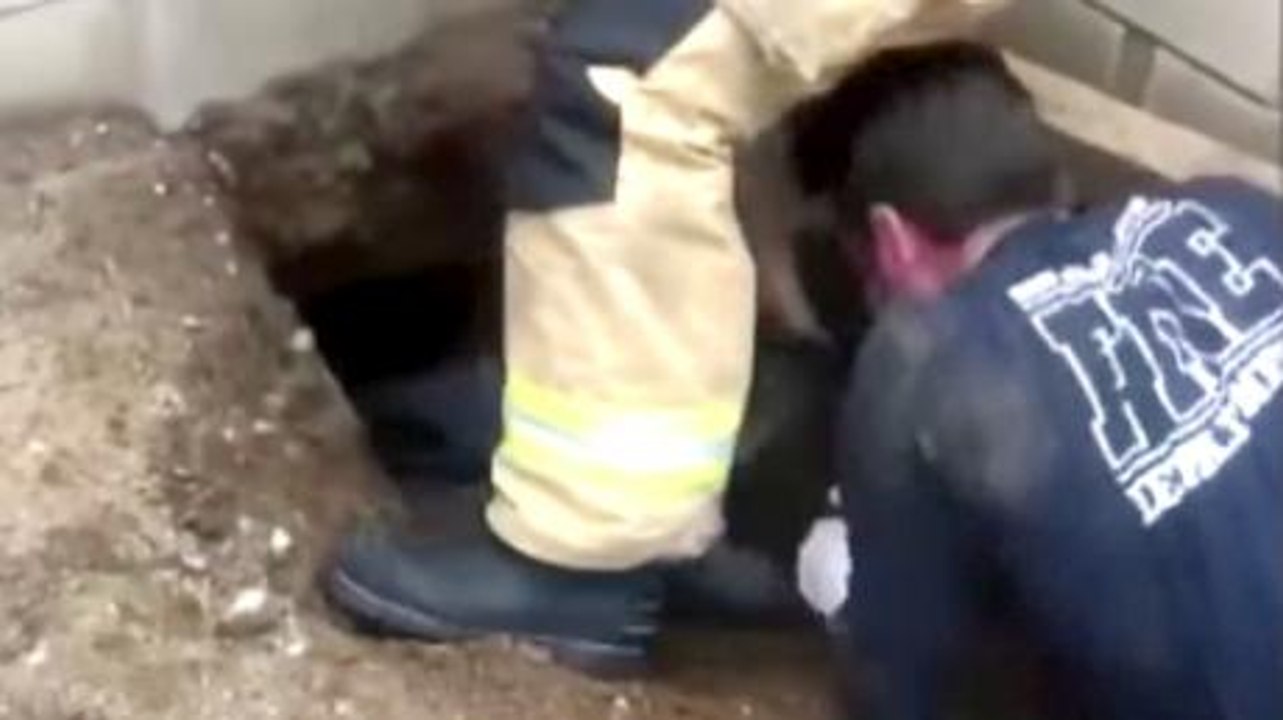 They Heard Strange Noises Coming From This Hole… When They Looked Inside They Couldn’t Believe Their Eyes
