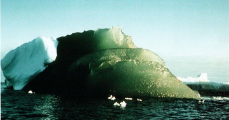 A scientist has finally unravelled the mystery of these 'alien' green' icebergs